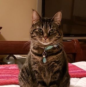 Meet your Posher, Cinthia